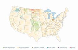 US classes of wheat and location US Wheat Associates